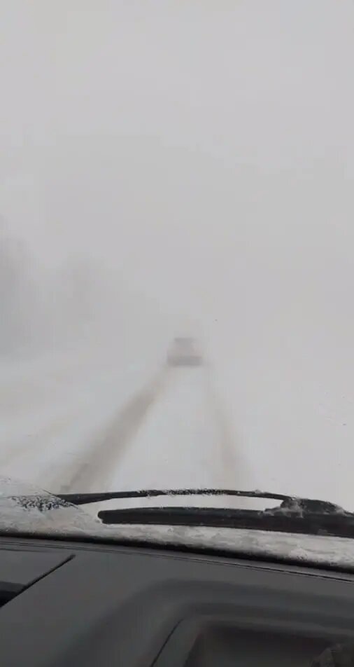    Фото: скриншот из видео в телеграм-канале «ЧП Саратов»