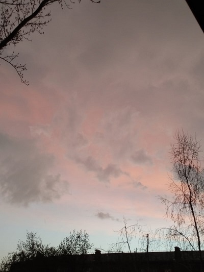 Нежное очарование