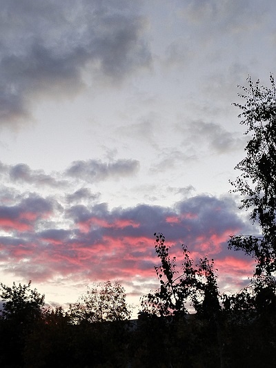 Контрастные краски заката