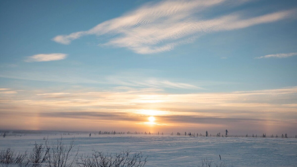    Фото: Сергей Зубков/«Ямал-Медиа»