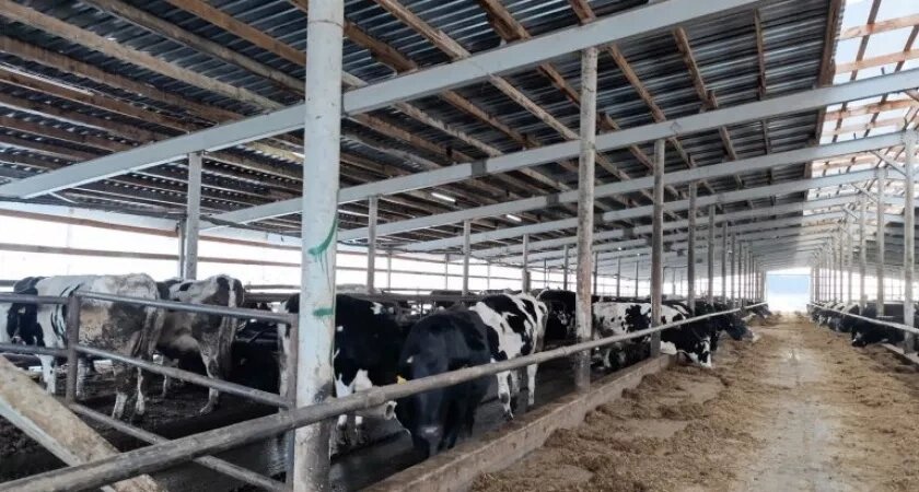    Фото Россельхознадзора