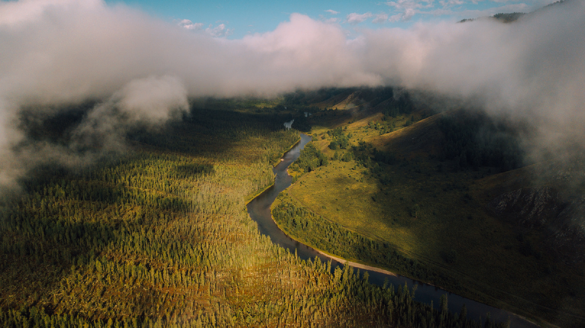 С высоты птичьего полета. Наши маршруты где-то здесь. Mamont Camp Алтай