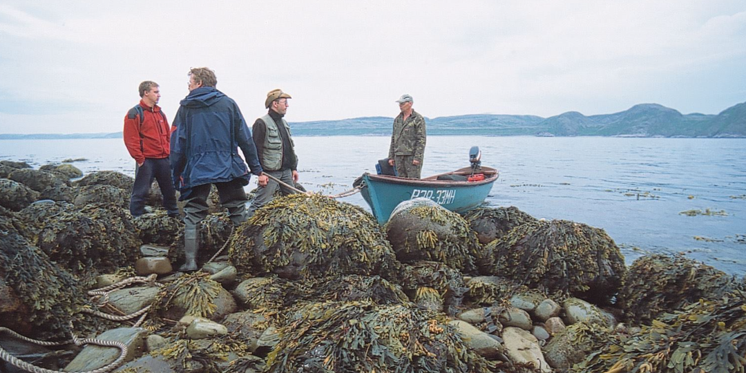 Единственное озеро в России, где морская рыба живет рядом с пресноводной. Как такое возможно?