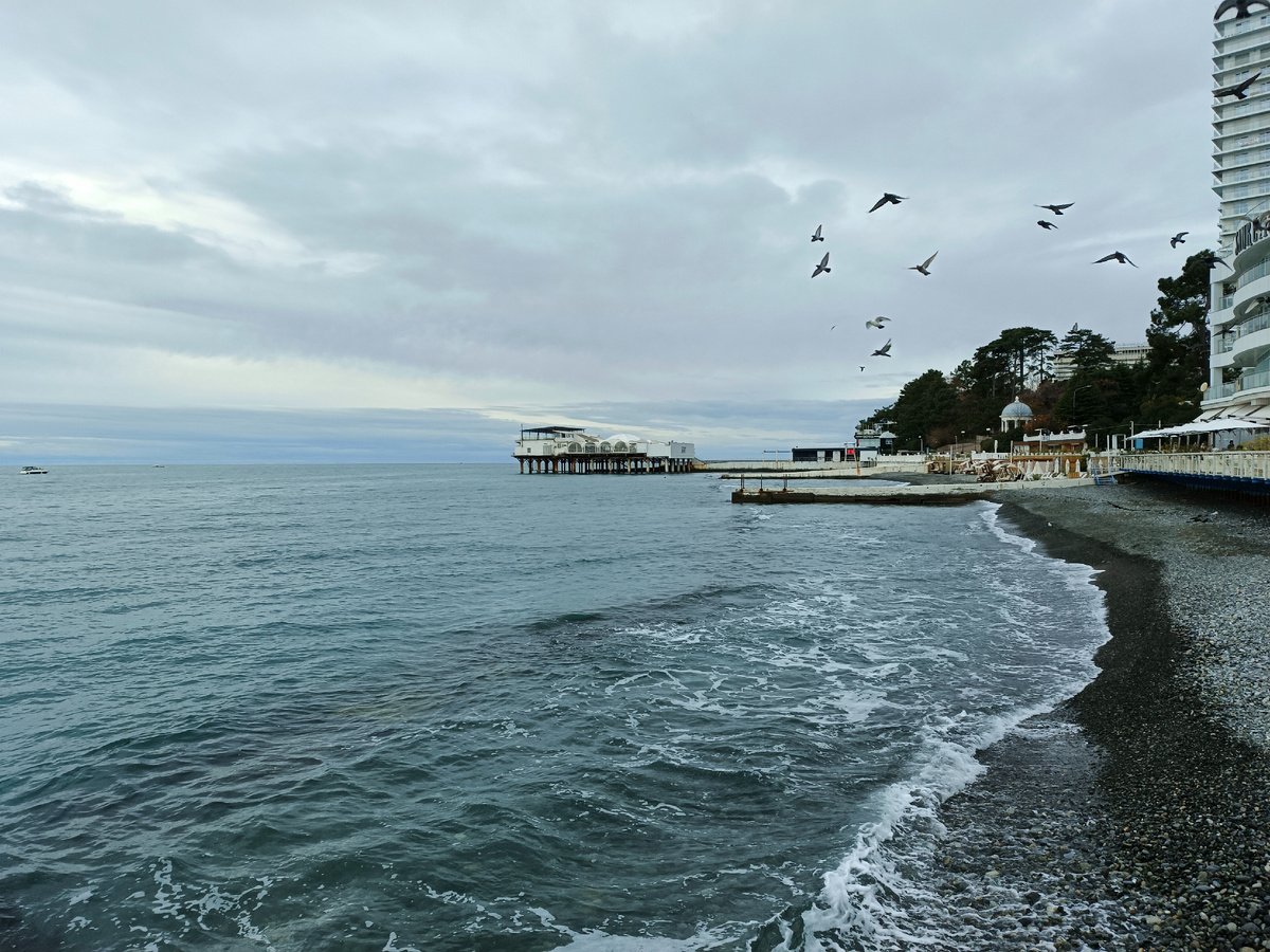 Сочи 13 декабря. Фото автора