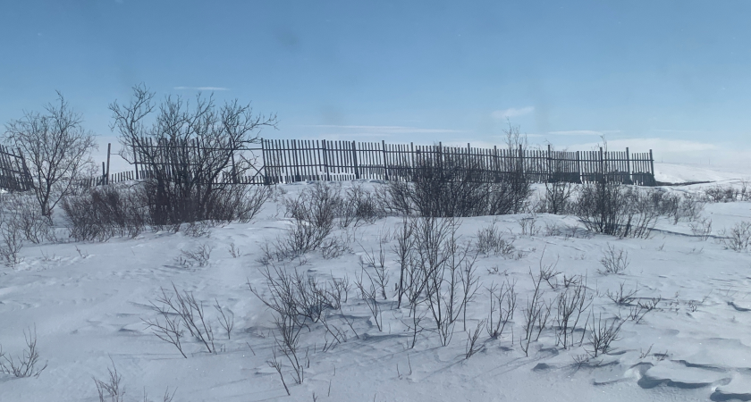    Фото из архива редакции