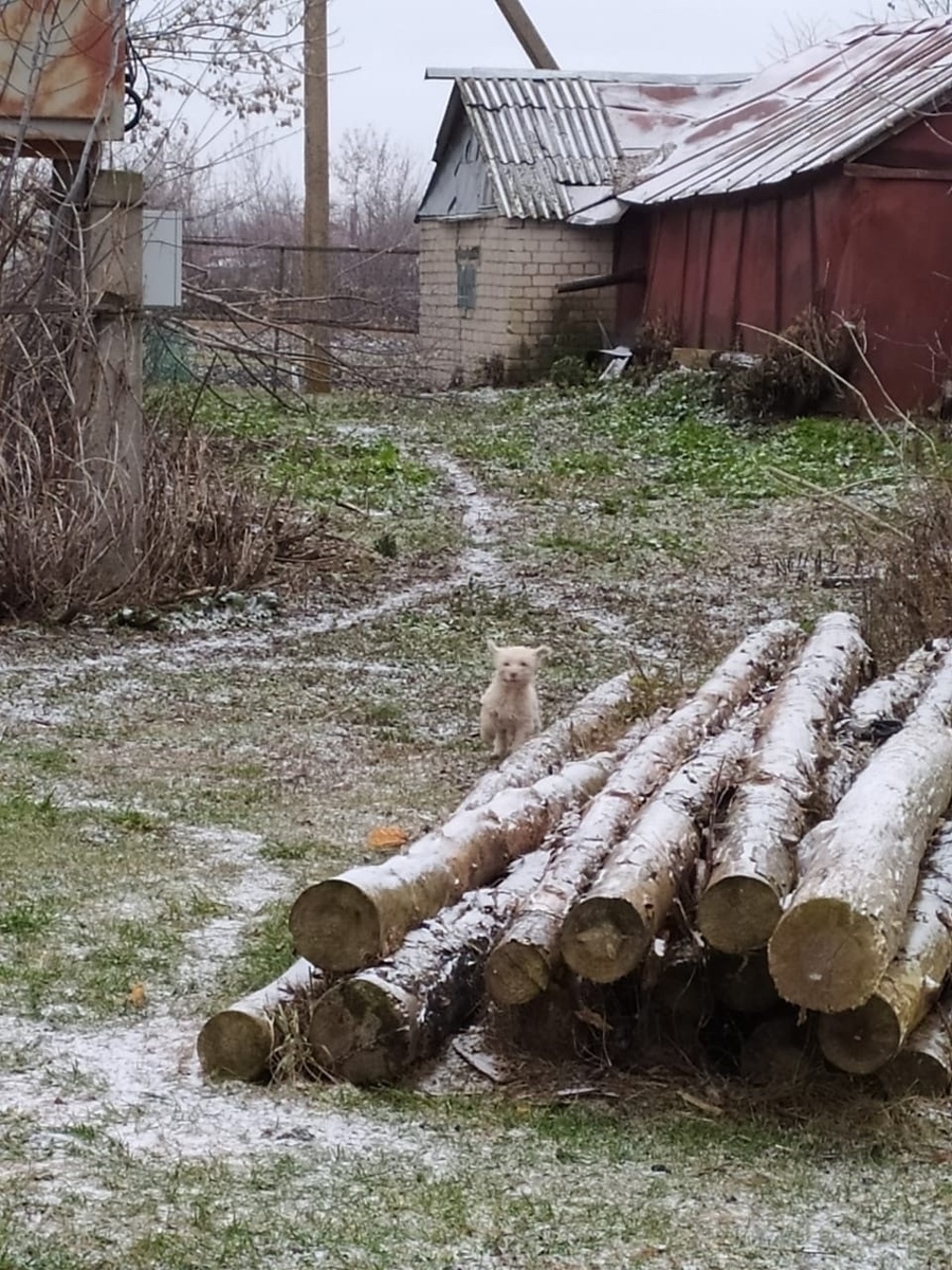 Вот оно маленькое белая, еле заметное, облачко. Фото из архива автора
