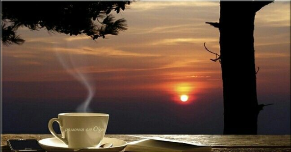 /фото из интернета/