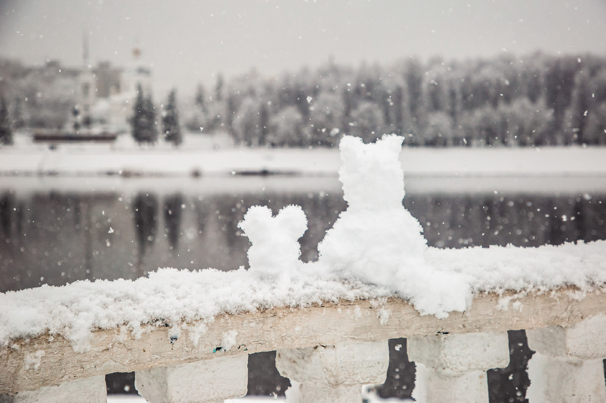 Фото: Кристина Белякова/РИА Верхневолжье
