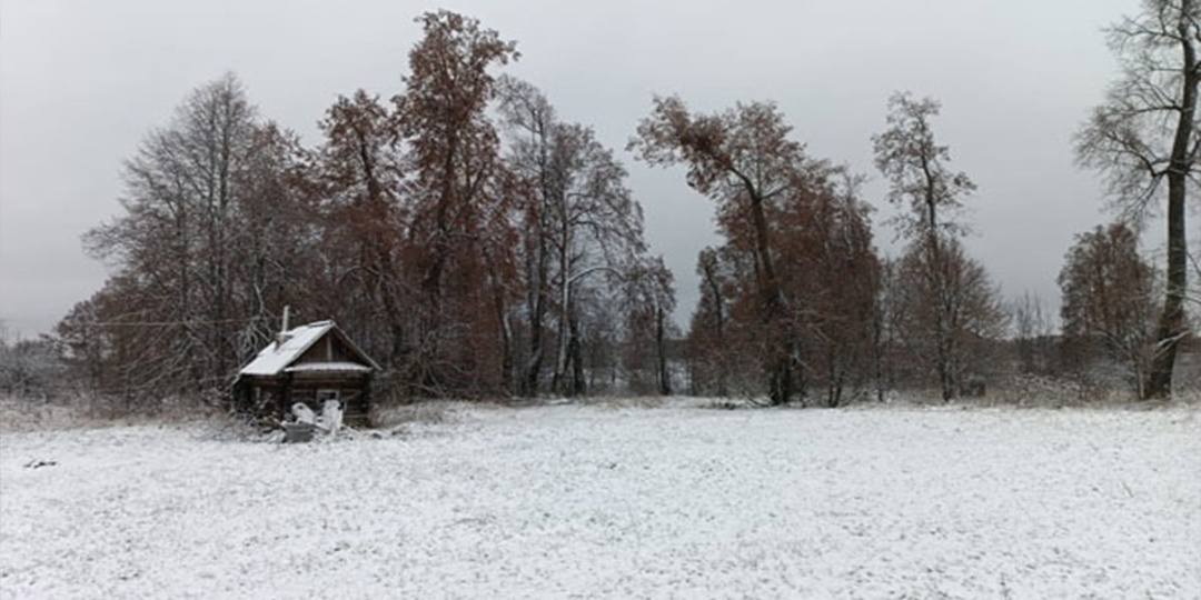 Жители ивановского села хотят возродить липовую рощу