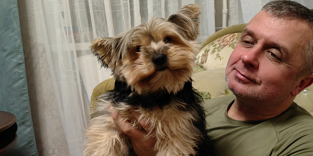 Нападение стаффа на йорка. Хозяина стаффа на хозяина йорка. Привет, электрошокер.