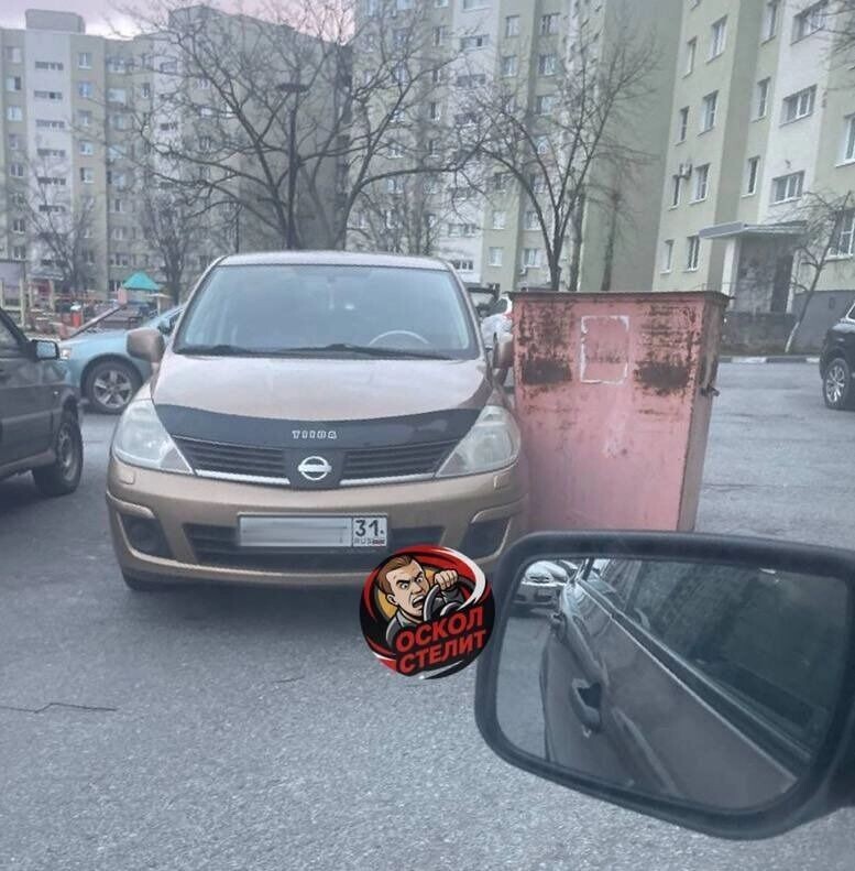     Источник: «Оскол стелит»