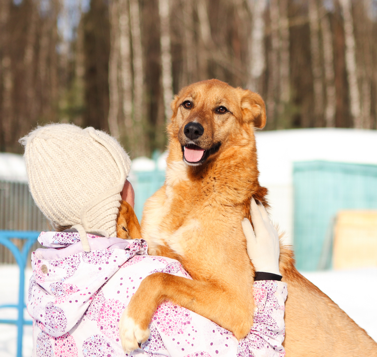 Повезло с характером, не повезло с домом(((