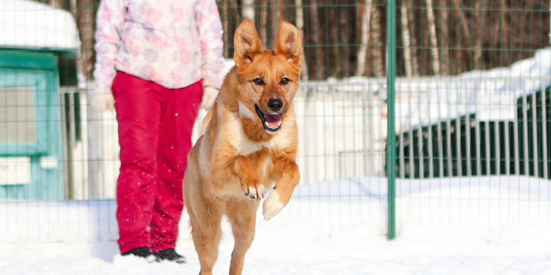 Залежи большого золотого слитка находятся в приюте, теперь нам надо отыскать ему хозяина