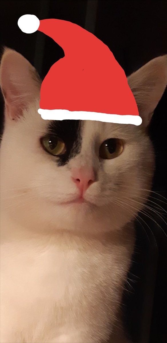 Когда писал я эти строки, мною правила Любовь. В ней стихов моих истоки. Смех и радость слов.