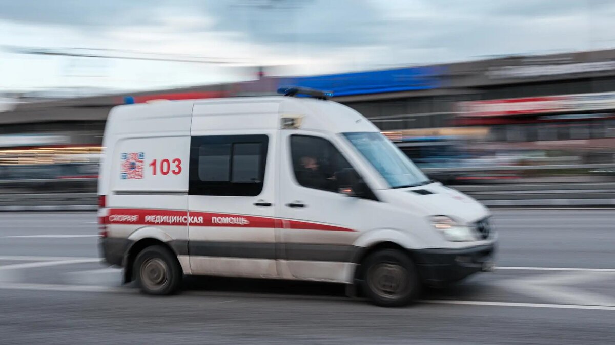    Фото: ИЗВЕСТИЯ/Сергей Виноградов