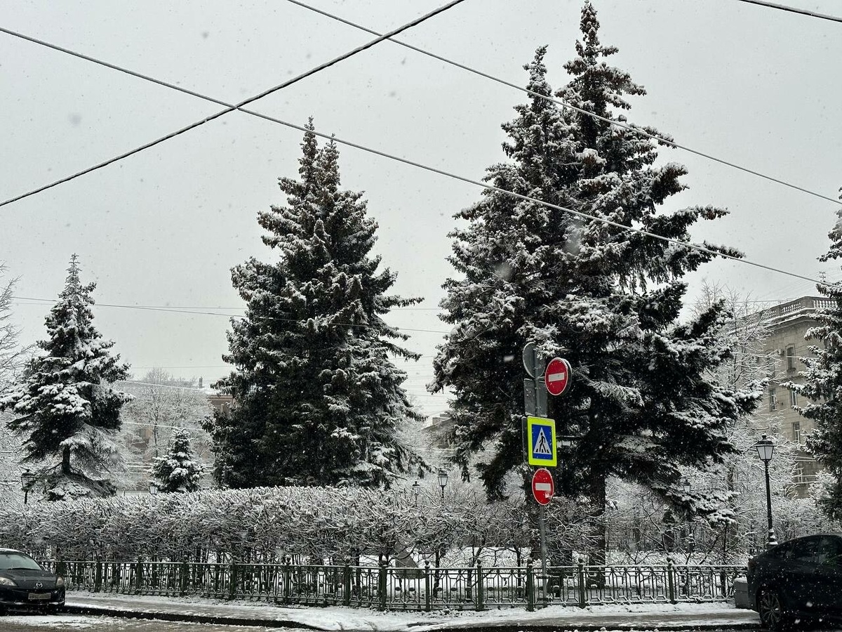     Фото: "Бриф24"