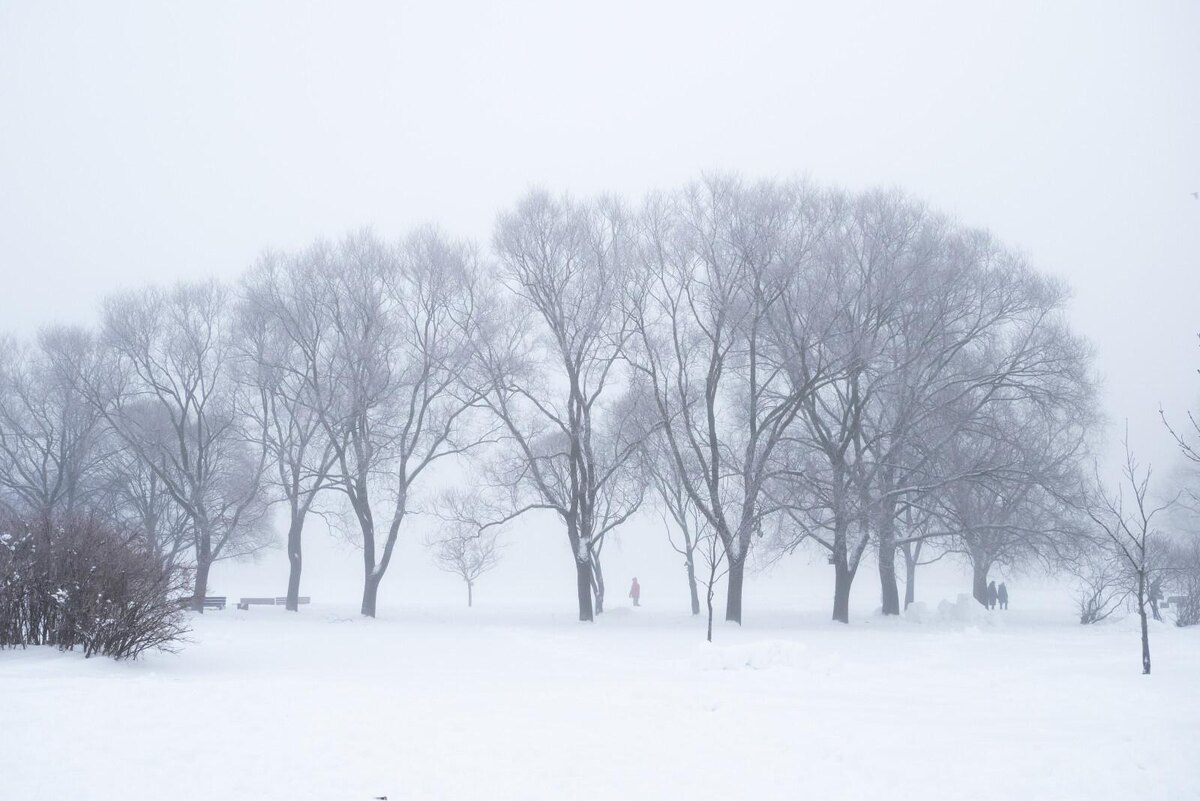 Фото: Олег Золото / «Петербургский дневник»