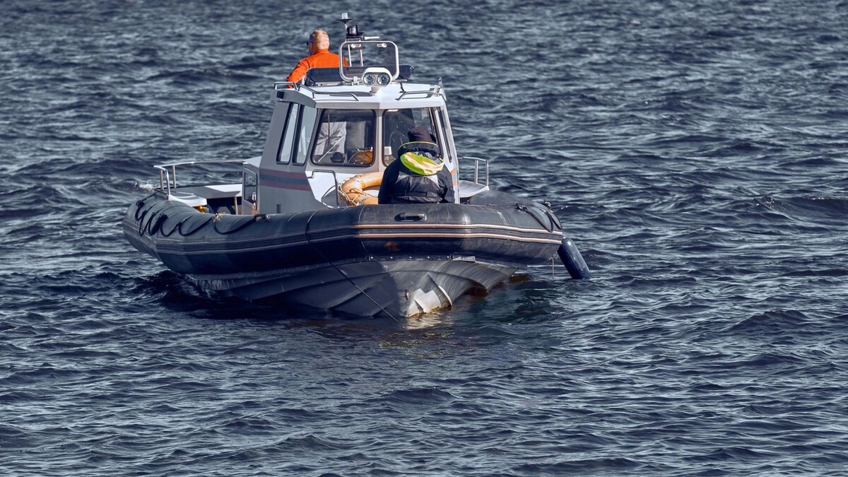    Фото: Chebakalex7/Shutterstock/Fotodom