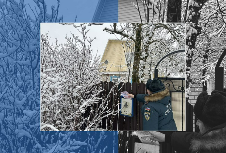 фото: МЧС России по Ленобласти