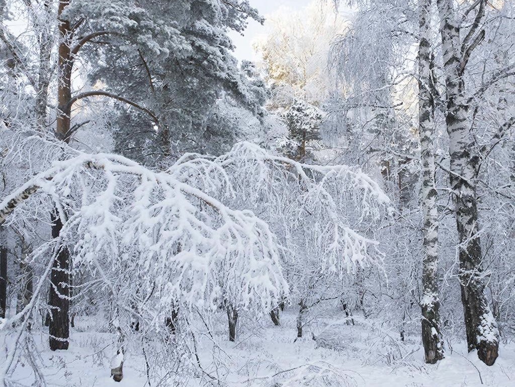    Фото: Шедеврум Редактор