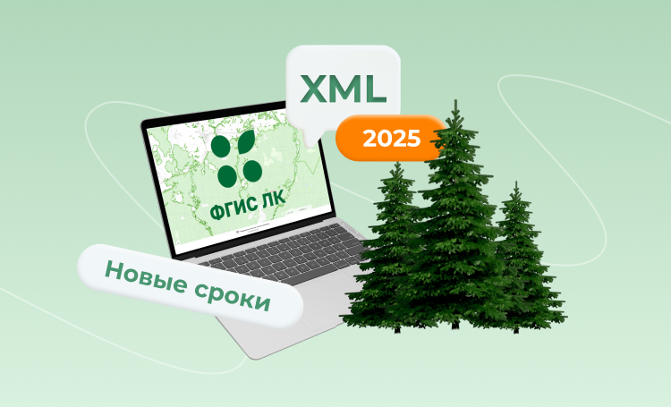 ФГИС ЛК, XML-формат, новые сроки — как изменилась лесная документация в 2025 году