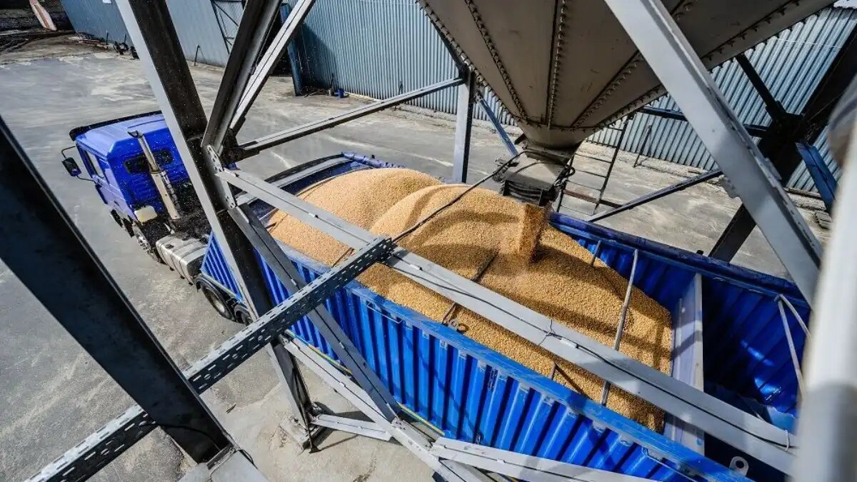 Фото: Ассоциация Росспецмаш
Отгрузки российских зерновозов на рынок РФ сократились на 78% в 2025 году