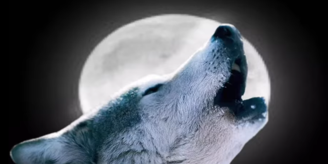 Закон причин и следствия