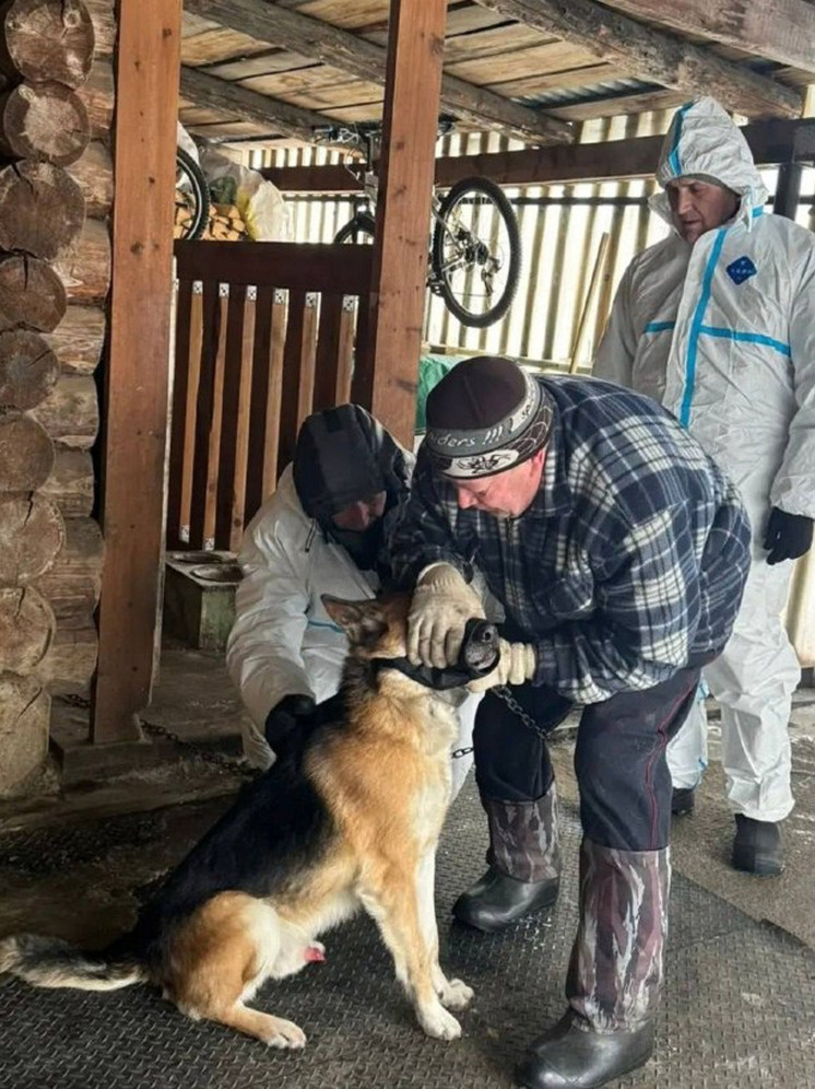     фото: телеграм-канал "Я из Томска"