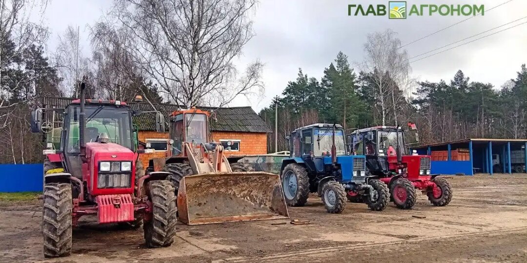 Для производства зерна предприниматели чаще всего обращаются за господдержкой