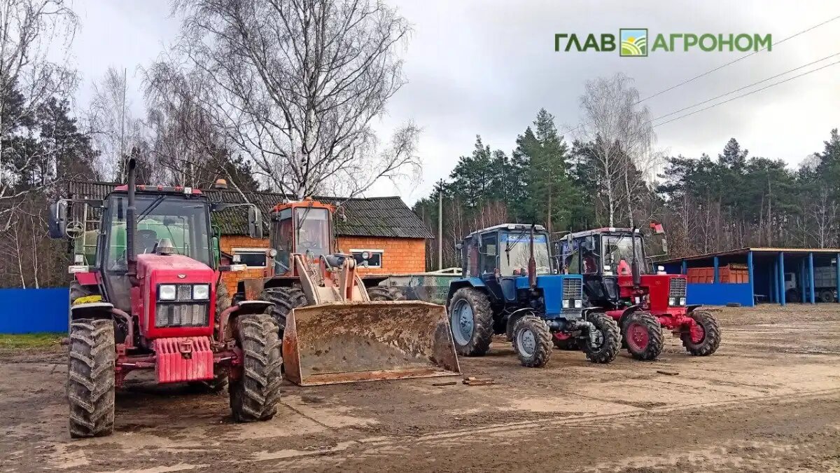 Фото:© Николай Петроченко / Glavagronom.ru
Среди МСП доля тех, кто хотя бы раз пользовался мерами поддержки, составляет 59%