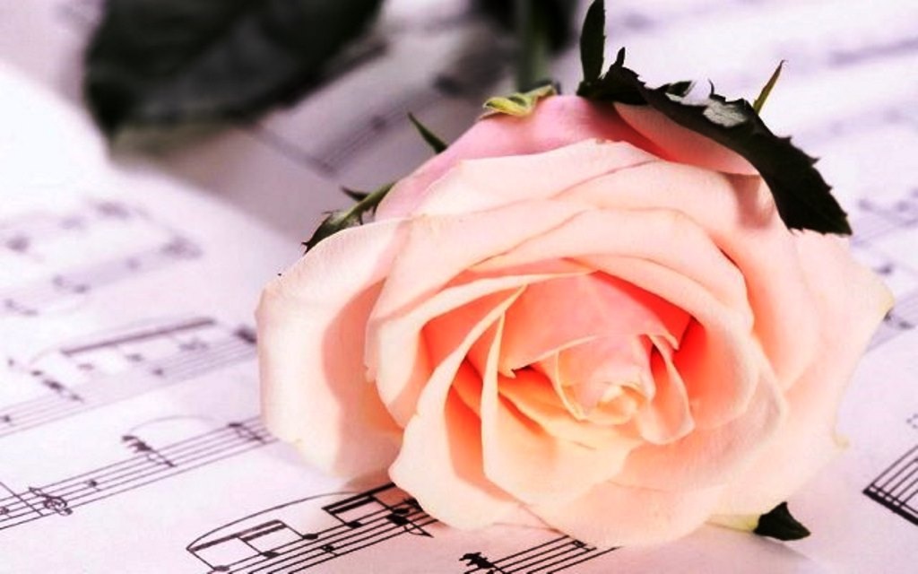 Картинка из интернета.