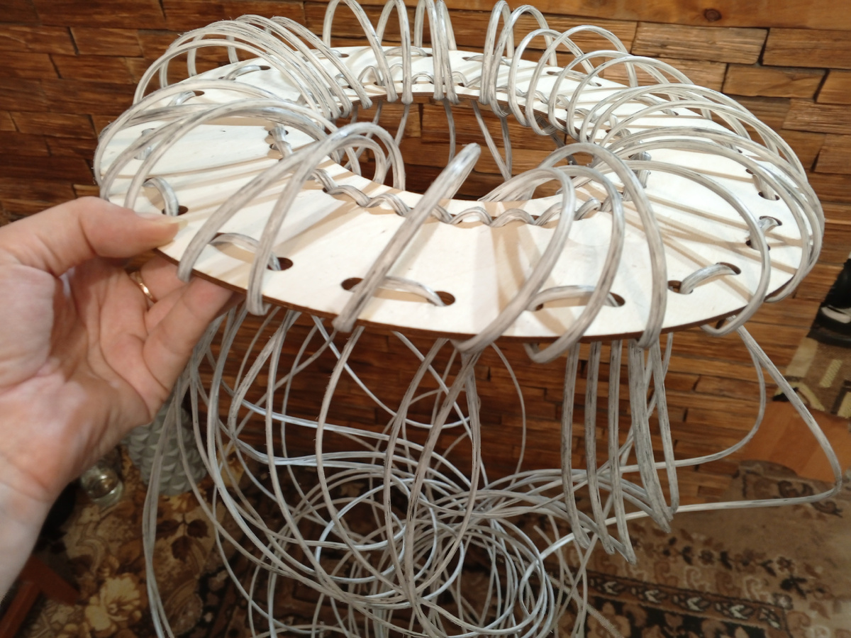 Заправленные лозы. Фото автора