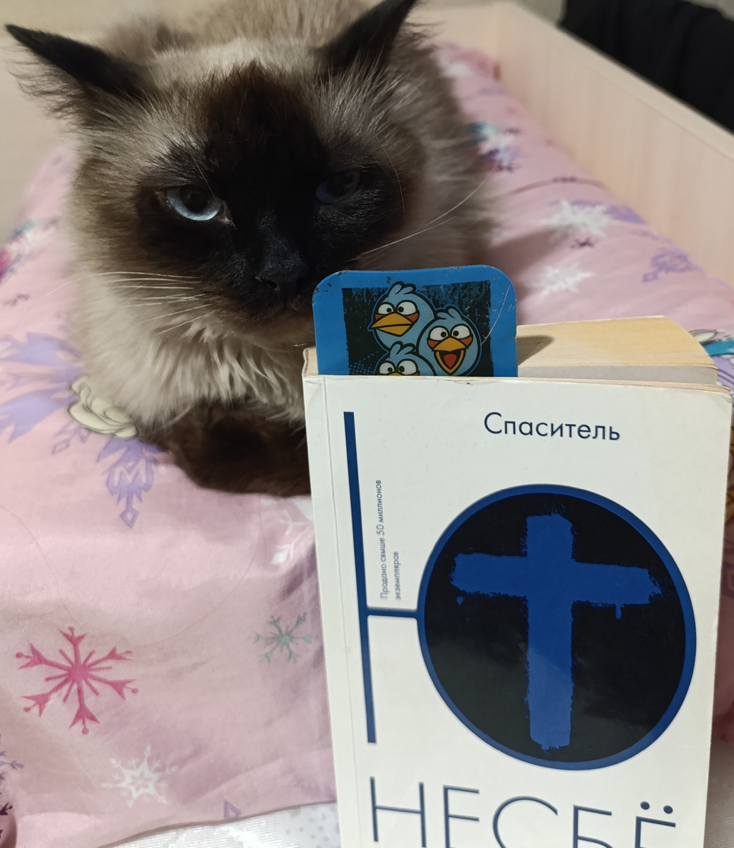 Сегодня книгу представляет не очень довольная спросонья Джеся