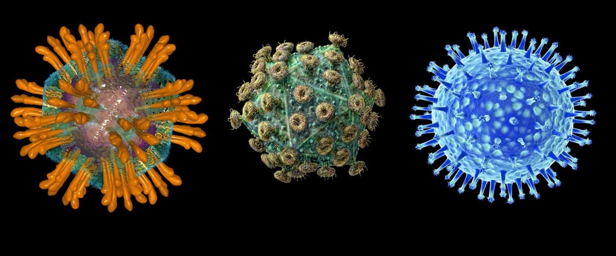 Онкогенные вирусы.https://logoslab.ru/full_img/onkogennye-virusy-mikrobiologija-prezentatsija/32