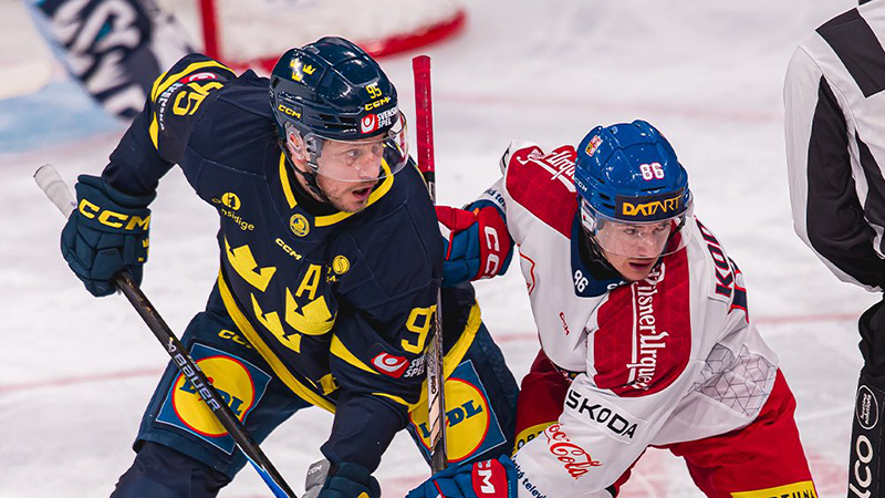 (фото: X Český hokej)