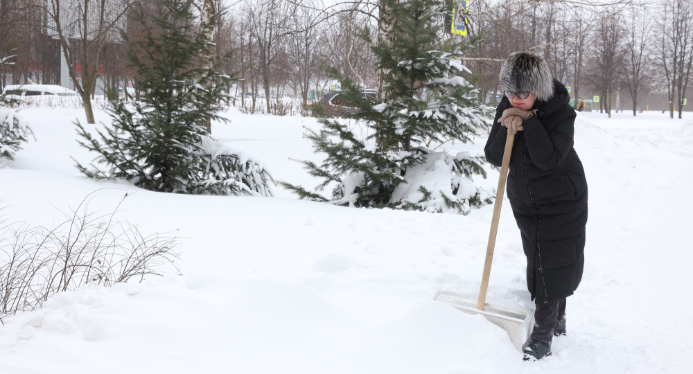 Раньше вторника снега и потепления в Липецке не ждите