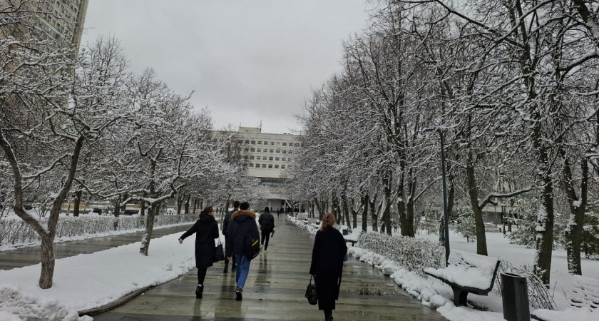    Автор фото - Анна Ефимова