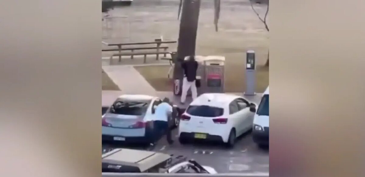    Фото: стоп-кадр видео из соцсетей
