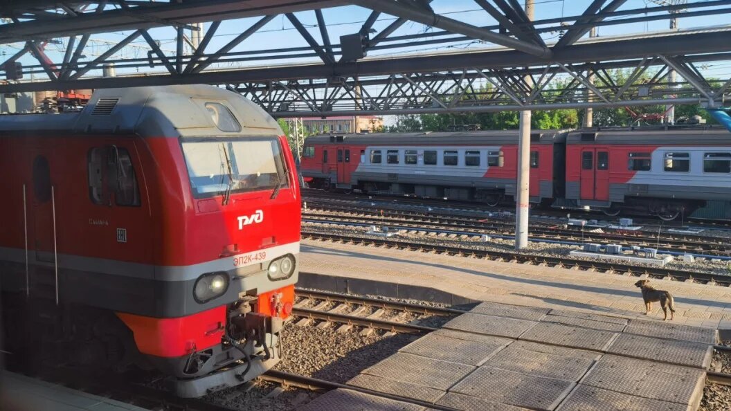    фото: Царьград