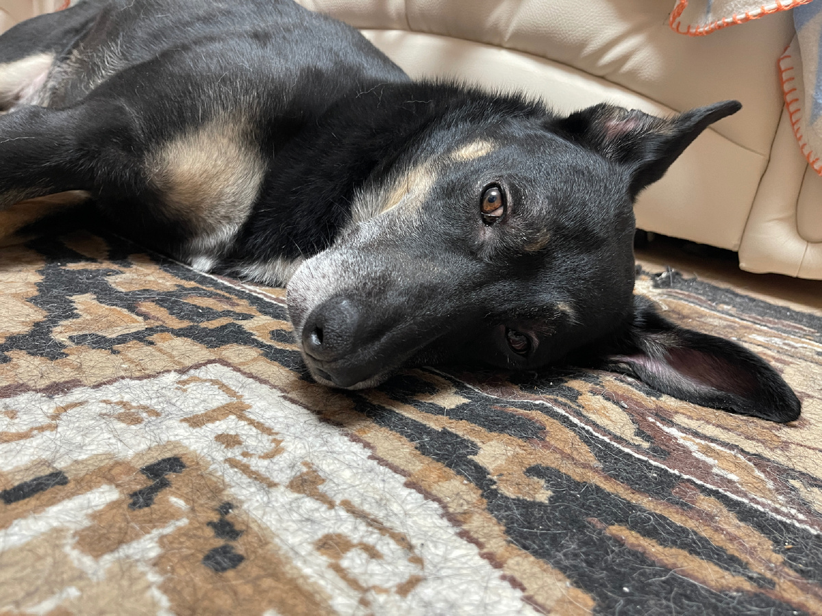 Ну разве я многого прошу? 🥺