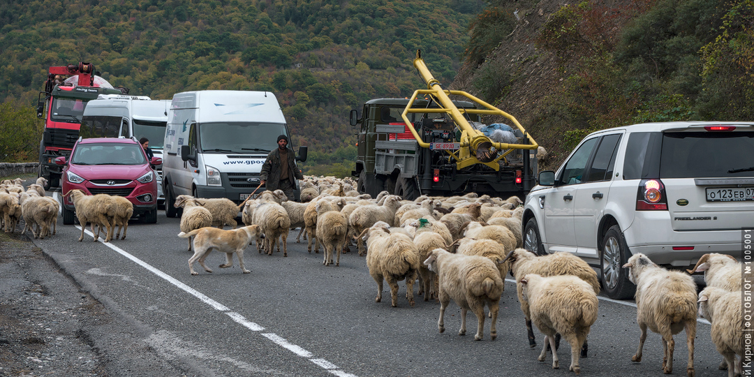Почему в Грузии нет баранины или репортаж из высокогорной пробки