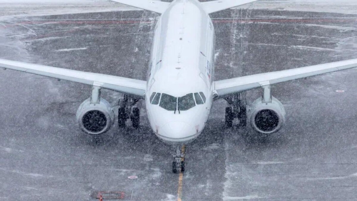     Источник: Telegram-канал аэропорта Пулково