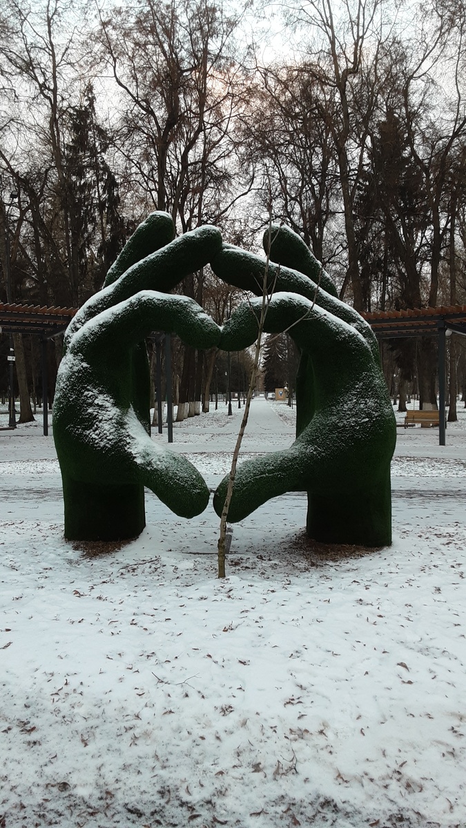 Фото с моей сегодняшней прогулки.