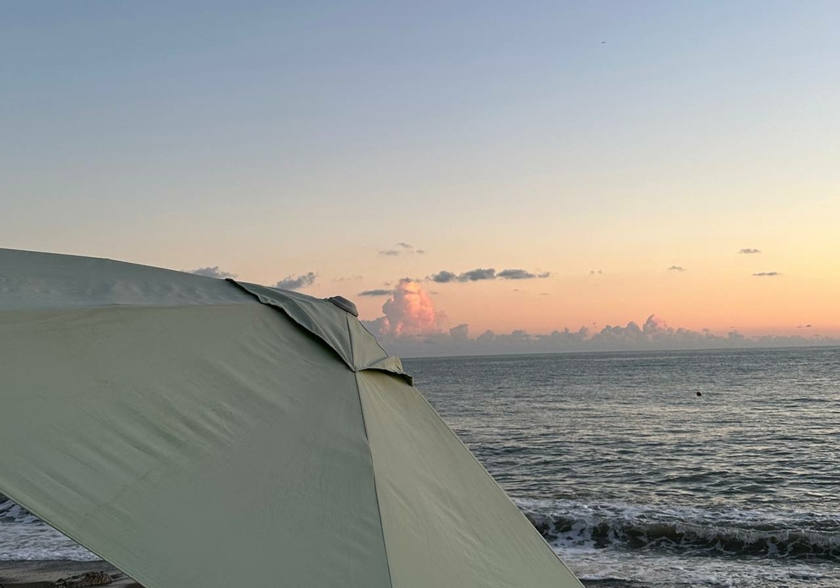     Фото: "Бриф24"