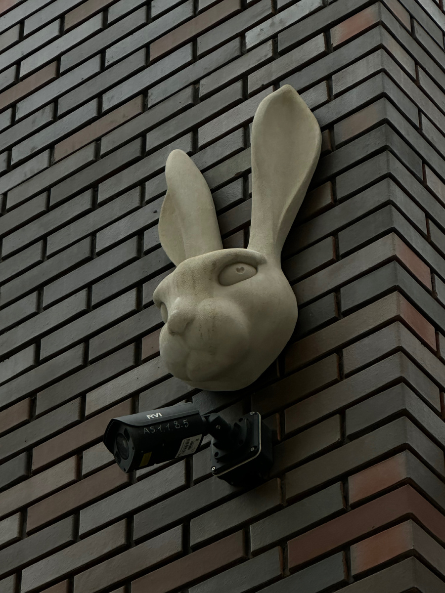 Зайка всё видит 🫵