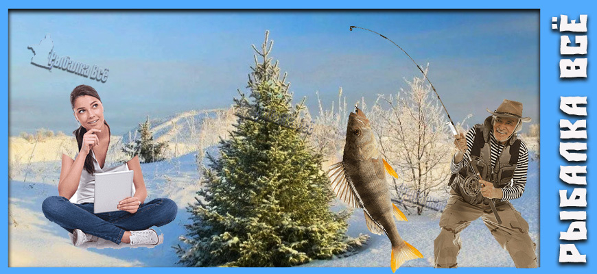 Что подарить рыбаку на Новый год: Идеи, от которых он точно не останется равнодушным