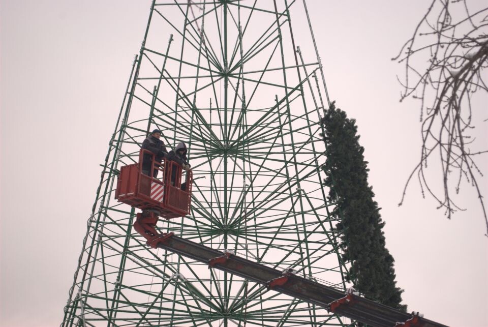    Сборка новогодней елки на площади Свободы. Источник: Елизавета Жаринова/«Толк»
