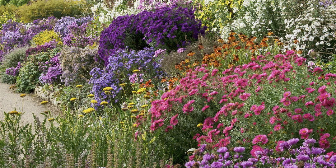 Ничего не растёт? 9 групп растений, которые спасут проблемные участки сада и будут радовать годами 🌿🌸