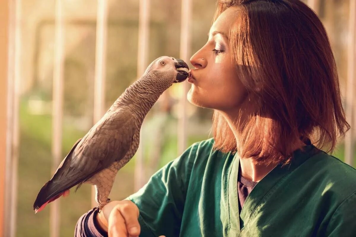 Фото с сайта: https://www.greenmatters.com/pn/this-intelligent-parrot-was-the-first-one-ever-in-the-animal-kingdom-to-ask-an-existential-question