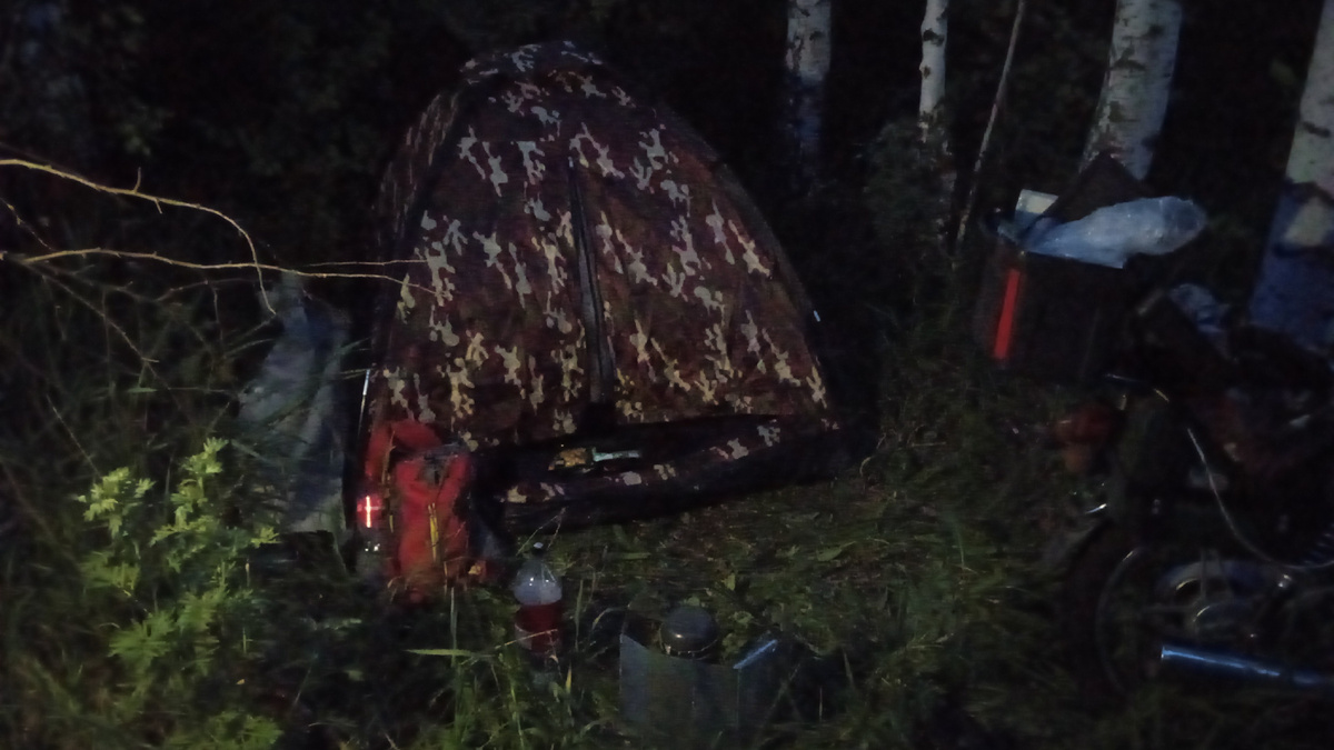 Ночь в посадке под Воронежем 